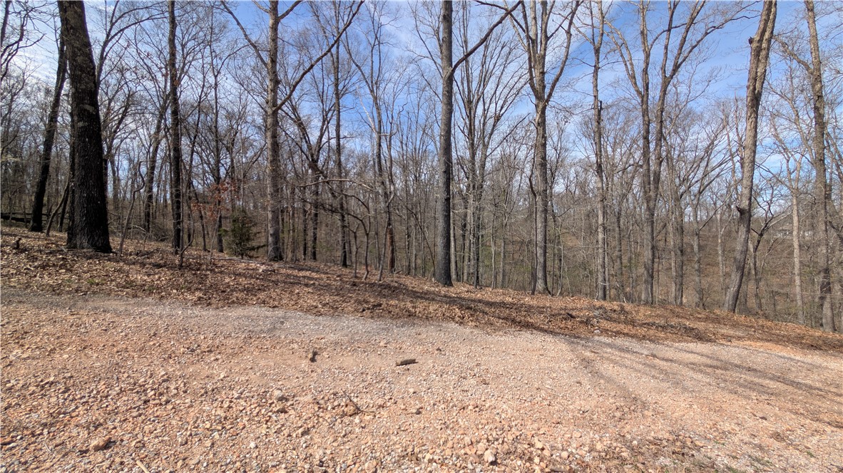 Buckland Sub-BVV - Land