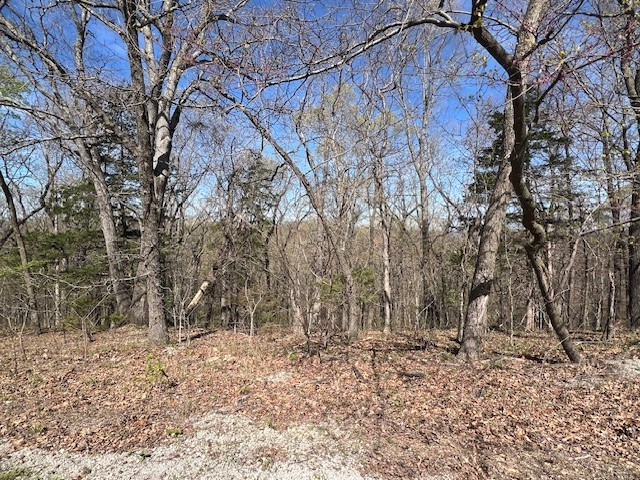 Wooded lot with a gentle down slope. Perfect for building a home with a walk out basement or basement garage. Good location. Close to amenities that include marina, fishing dock, recreation center, swimming pool, tennis courts, baseball diamond, 2 golf courses and more. 5 minutes to shopping, groceries, restaurants, banking and more. 15 minutes to Eureka Springs. 45 minutes to Branson.