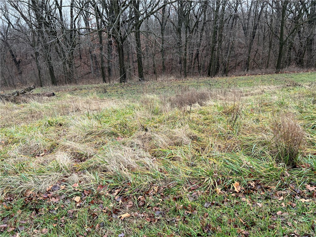 nice lot! build you home. and take advantage of all Bellavista can offer you close to Trails creek falls, access to golf course and more!