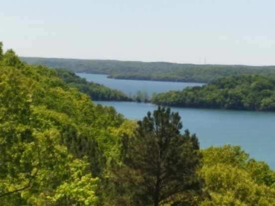 Come build your dream home overlooking stunning Beaver Lake! This one acre parcel is located on a paved road and has community water! Making this a rare find! Wildlife, sunsets, sunrises, boating, fishing and hiking are just a few of the opportunities you will find with this property. Close to all that Eureka Springs has to offer. The perfect escape from the hustle and bustle of city life! Don't miss this one!