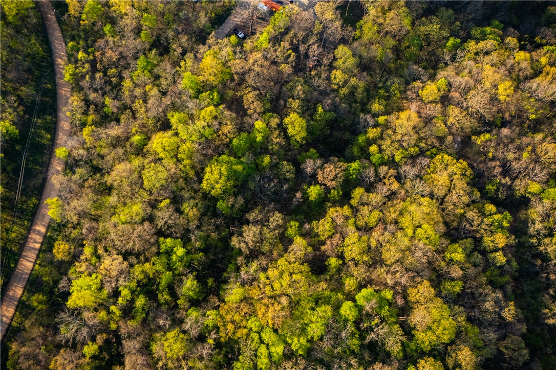 Posy Mountain Ranch Unit 7 Rurban - Land