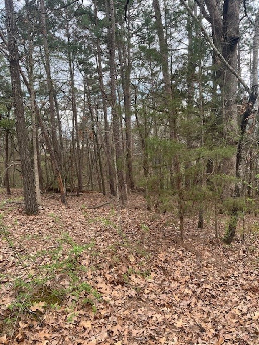 Location, location, location!  One .31 acre and one .44 acre sewered lots.   Close to Tanyard Creek Nature trail, Hwy 71 and shopping. Enjoy all the amenities that Bella Vista Village has to offer. Access to 8 golf courses, 7 lakes, swimming pools, 100s of miles of world class bike & hiking trails, shooting range, rec centers, & more! Don't miss this investment opportunity.  Bundle includes MLS numbers: 1306957 and 1306999.