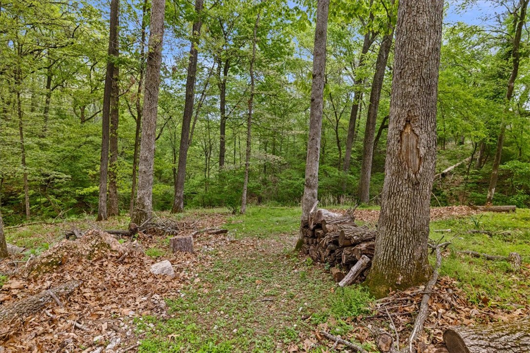 Lakeview Add Rogers - Residential