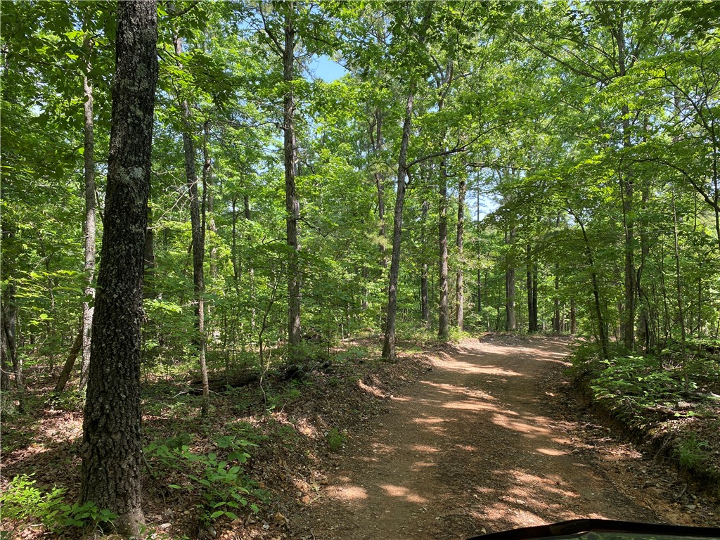 Discover tranquility and seclusion with this 14.3AC M/L wooded tract in the Ozark Mountains with county road access and beautiful mature hardwoods as well as King Pine and many other tree and plant species. Beautiful and lush foliage abound with tons of wildlife, including Whitetail deer, Turkey, and a multitude of other species. This tract would make the perfect off-grid spot for your RV or mobile home. Located approximately 15 mins from the famous Buffalo River and approximately 25 mins from the world-renowned White River, known for trophy Rainbow Trout fishing and recreation. Donāt miss this opportunity to own your very own piece of the beautiful Ozark mountains. Priced to sell quickly, this one wonāt last.