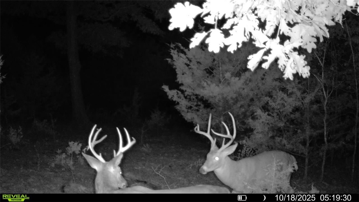 Webb's Landing - Residential