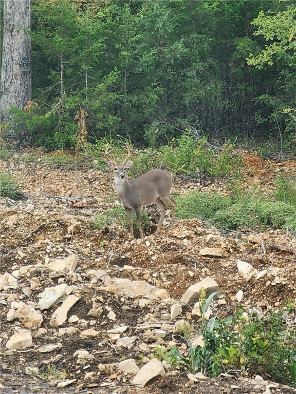 Webb's Landing - Residential