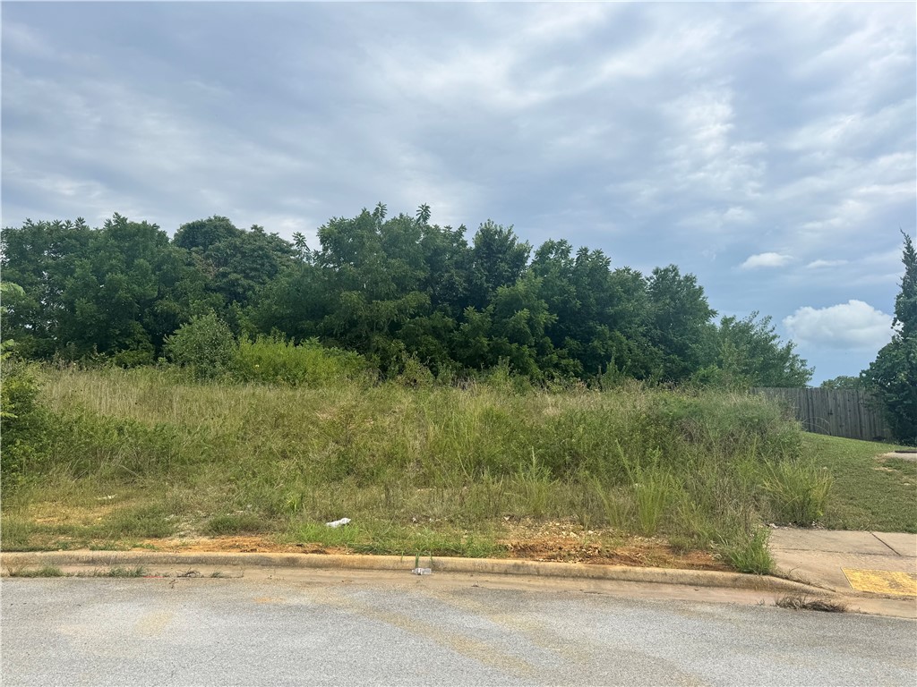 Donāt miss this opportunity to own a 0.42-acre vacant lot at 1399 Bridgeboro Ave, Springdale, AR 72674. This build-ready lot offers a mix of sloped and level terrain, ideal for a custom home design. Located in a highly desirable area, itās just minutes from schools, parks, shopping, and dining. Whether you're looking to build your dream home or invest in land in one of Springdale's growing neighborhoods, this property offers great potential and convenience. Utilities nearbyācome see the possibilities!
