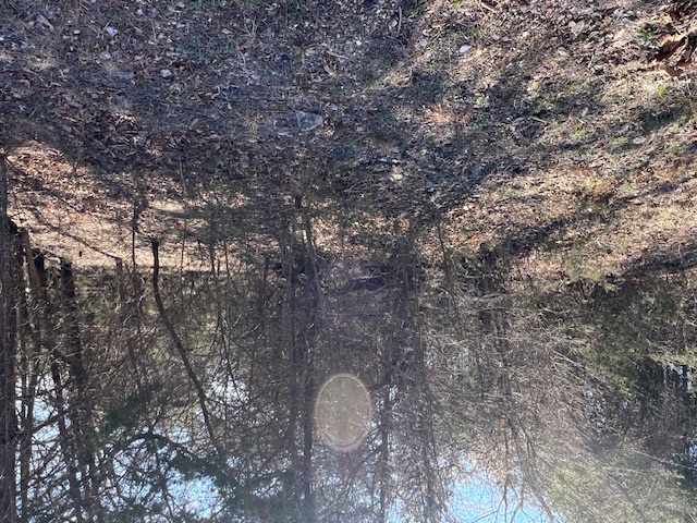 Unit 12 Holiday Island - Land