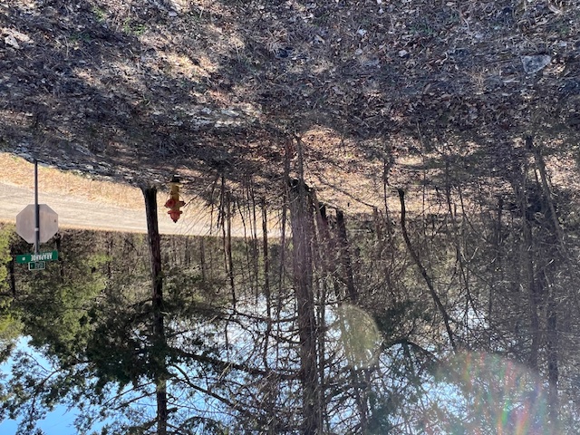 Unit 12 Holiday Island - Land