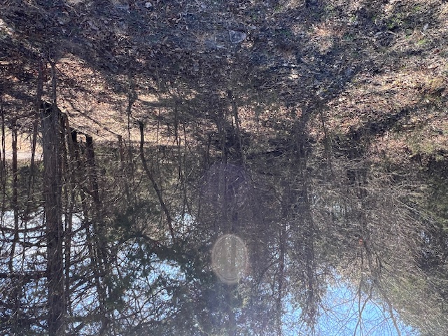 Unit 12 Holiday Island - Land