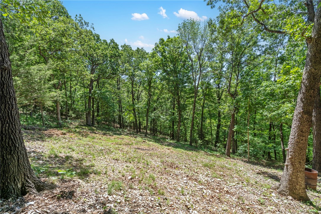 Looking to build but don't want to pay for the well, septic or electrical? Welcome to this extraordinary 8.14-acre retreat and Studio near Beaver Lake with $100K in ready to build infrastructure! No other lot has this complete list. Includes 2024-built Studio 55, second build-ready site, underground electric, 3–4BR septic, and 60 GPM glacier-fed well 1207 ft deep. Fire-resistant construction with Hardy siding, metal roof, and rock wool insulation. No chemicals—only cedar oil, diatomaceous earth, and Pyrethrin. Sustainable food forest with figs, strawberries, heirloom bulbs, and shiitake mushrooms. Features Van Gogh-inspired garden, Indian Trail Marker Tree, and Earthling Trail. Ideal for homestead, STR, or build-site. Just 8 mi to Eureka Springs; 12 mi to Clifty Drop In or Hogscald, at Beaver Lake. Schedule your private walking tour today!