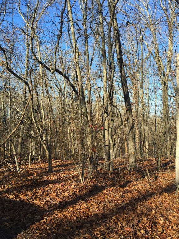 What more could you want in a lot when building? Wooded, quiet street, really close to the lake, and a convent location with easy access ti I-49. Schedule a showing today this lot will not last long.