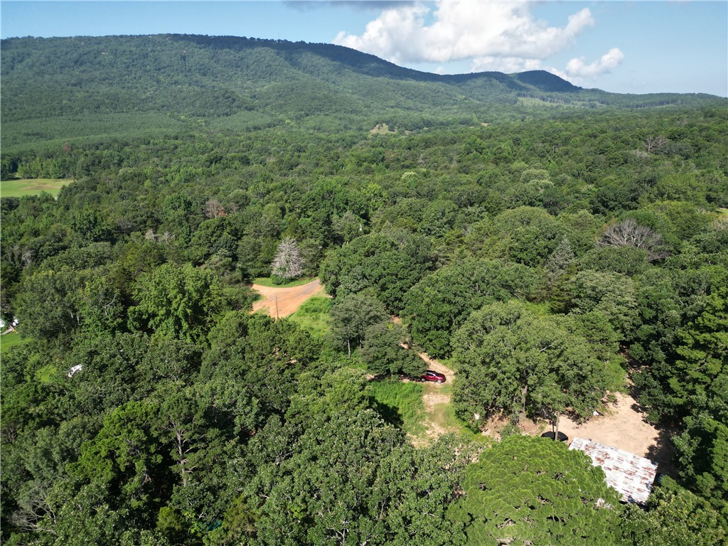 Own your own piece of paradise with 5.46+/- acres off Haney Hollow Road, offering unmatched views of Sunrise Point on Mount Nebo. This property includes 5 acres of usable, buildable land with electric already run to the siteāperfect for your dream home or getaway. On the remaining 0.46 acres, a private road can be completed that leads you directly to the land from Haney Hollow Road. And the best part? You would own that accessāno easements, no shared driveājust complete privacy and control. Some spots have already been cleared, and thereās a shop on site that will stay with the property. All other personal items will be removed prior to closing, leaving you with endless potential in a peaceful, scenic setting. More photos coming soon!