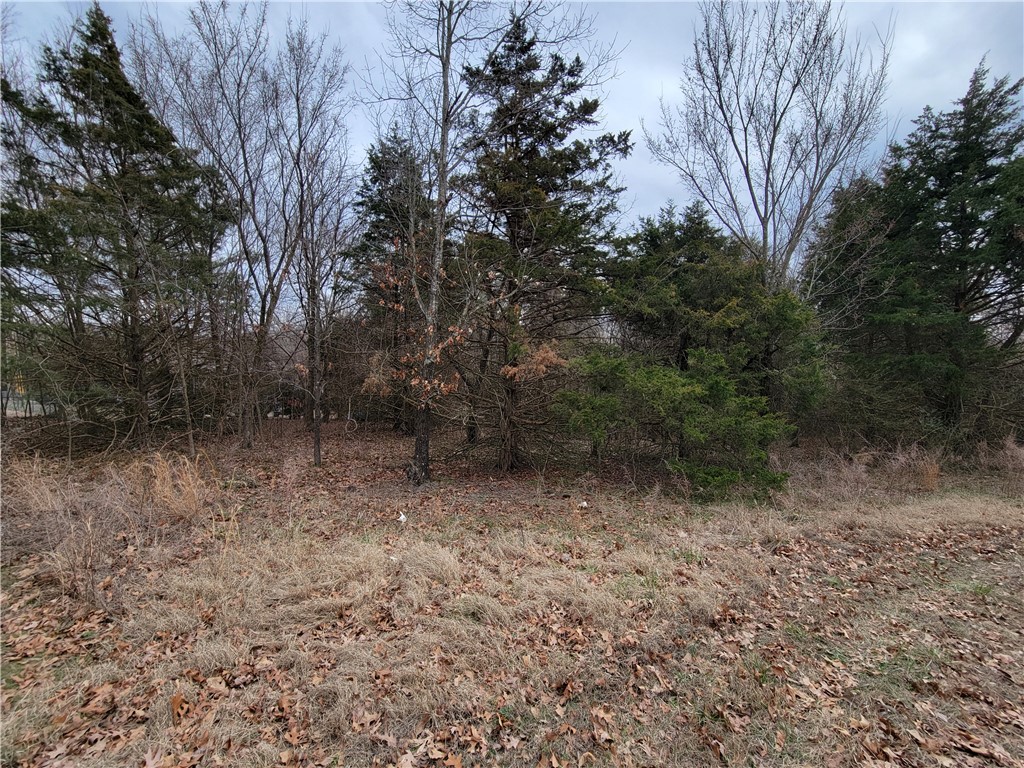 This large lot (.44 ac) has access to SEWER! AND it's located in a very desirable part of Bella Vista just minutes from the Metfield golf course, Blowing Springs Greenway, and Lake Brittany. Go check out this lot to see how suitable it is for your new home.