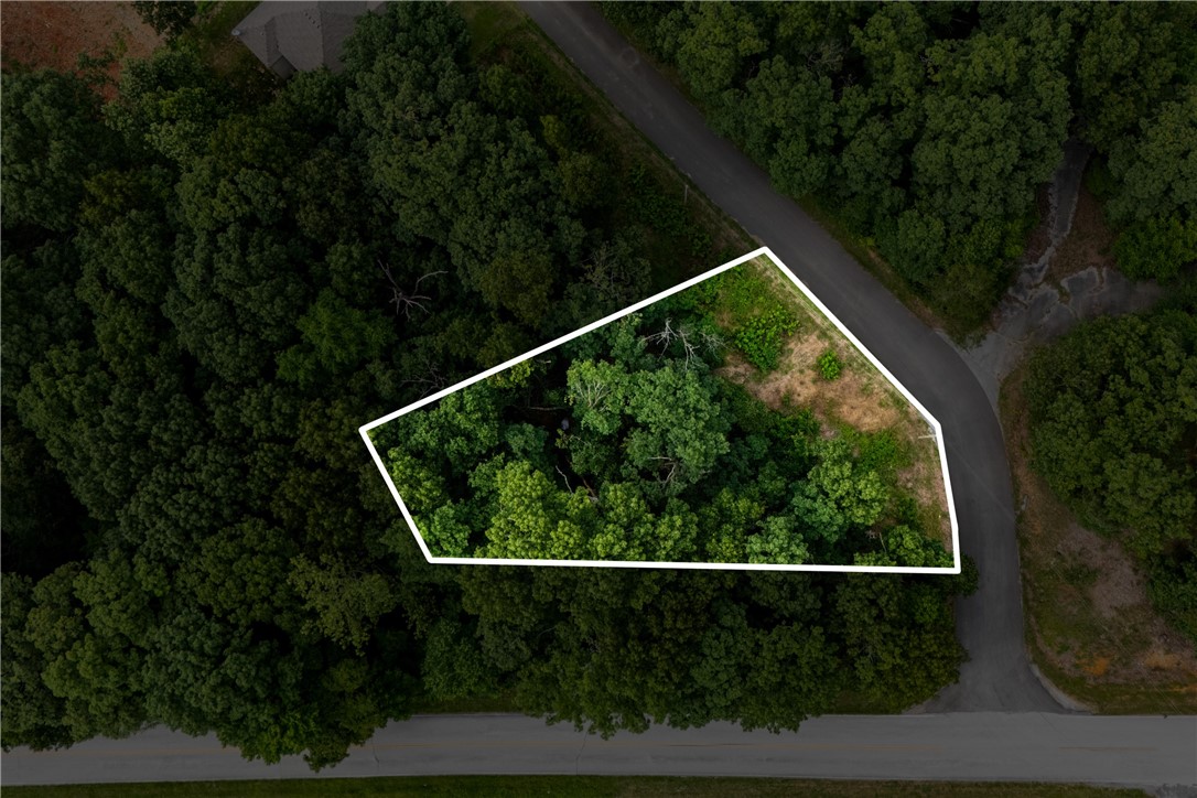 This lot offers a gentle front-to-back slope and a convenient location near the new fire station and Branchwood Recreation Center. You'll have access to all the amenities Bella Vista is known for—golf, lakes, swimming, tennis, nature and bike trails, disc golf, a gun range, and more. Great opportunity to build in a well-rounded community with something for everyone.