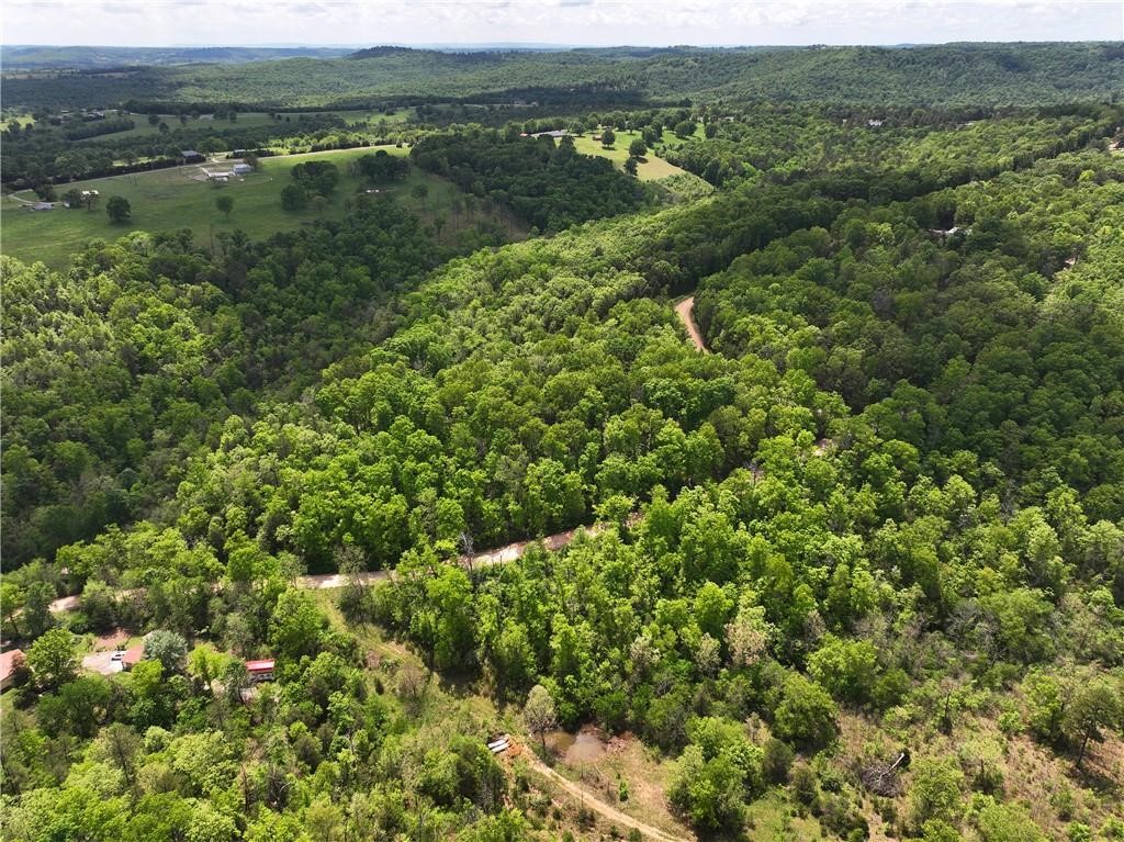 Individual lots within this 21.83-acre tract are now available for separate purchase in the quiet and scenic Scott Mountain Unit II Subdivision in Omaha, Arkansas. Each lot offers gently rolling to level terrain with beautiful building sites, making them ideal for a primary residence, vacation retreat, or mobile home setup. Electric is available at the road, and buyers will need to install a well and septic system. These parcels offer stunning views, plenty of privacy, and easy access via Polite Road. Located just five minutes from public boat access on Bull Shoals Lake and within a short drive to Branson and Harrison, these lots provide the perfect blend of rural tranquility and nearby amenities. With flexible options and a peaceful setting, these lots are a great opportunity to own your own piece of the Ozarks.