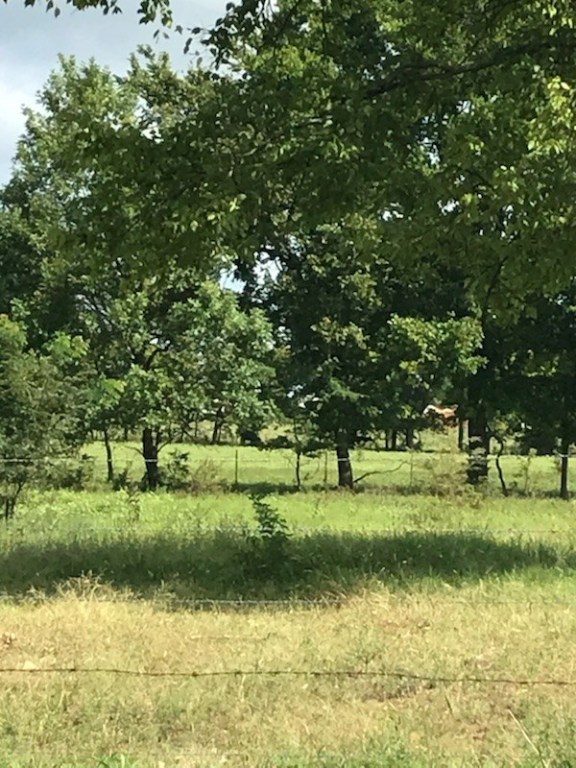 Farmington Outlots 2008 Annex - Land