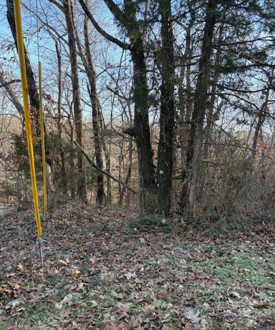 Cedar Crest Drive is primarily a residential area in Bella Vista, AR, known for its rolling, wooded Ozark topography. The neighborhood is characterized by a mix of single-family homes and undeveloped lots, offering a quiet, natural atmosphere. Located on the southern end of Bella Vista, this lot has easy access to Bentonville and Rogers on U.S. 71 and it is located in close proximity to several biking/walking trails like: Sick A More, Lake Bella Vista Trail, Razorback Regional Greenway, Blowing Springs and Back 40 trail, and the new Oz Bike Park. Purchasing this lot also gives you member access to all the exciting things Bella Vista has to offer.