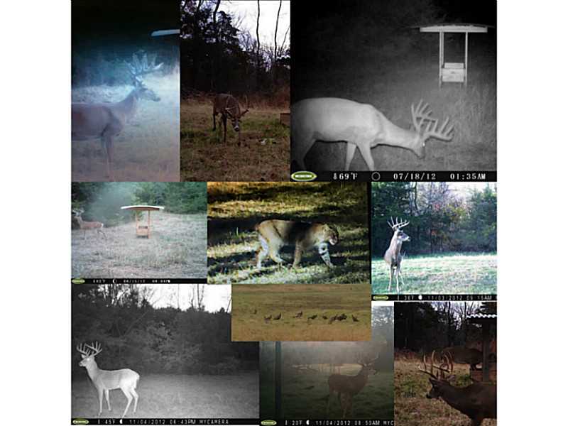 27-21-33-Rural - Residential