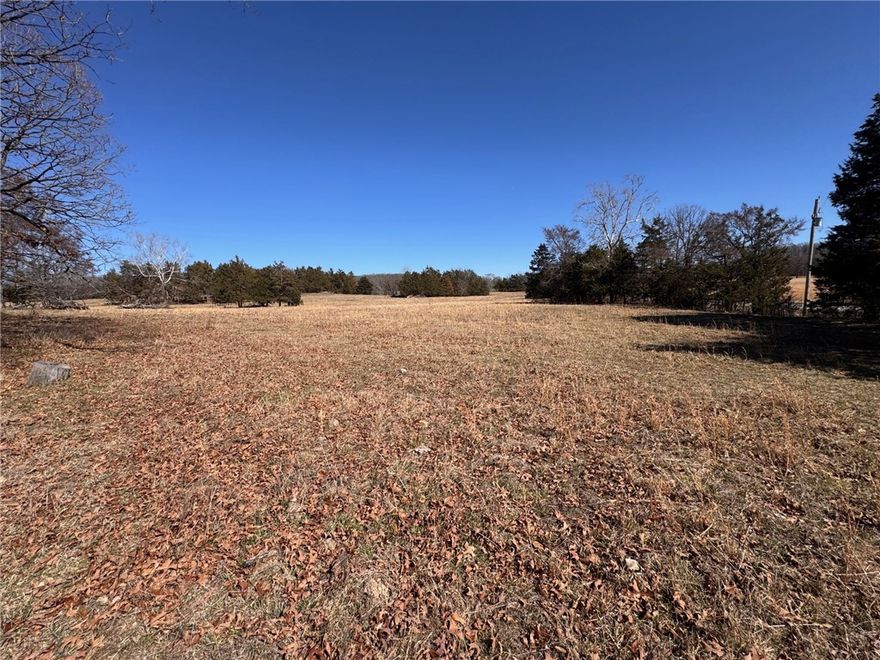 This 8-acre tract located at the corner of Zinnia Rd and Dunkard Rd offers a beautiful, cleared setting with a pond and multiple ideal homesite locations. The open ground provides flexibility for building, small livestock, or simply enjoying wide-open space, while still offering privacy and room to spread out. Located in the Alpena School District and just minutes from Long Creek, you’ll enjoy peaceful country living with convenient access to all the shopping and amenities in the Harrison area.  No single wide mobile homes