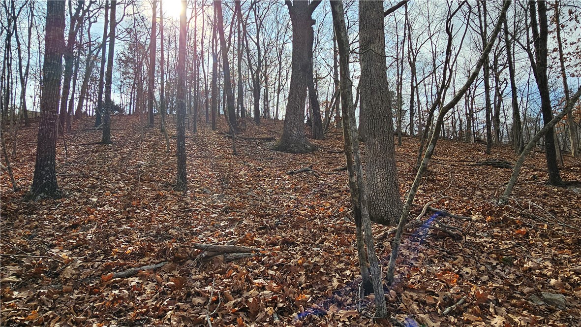 Great Sloping acreage with a lake view, and water at the street. This will make a great home spot.