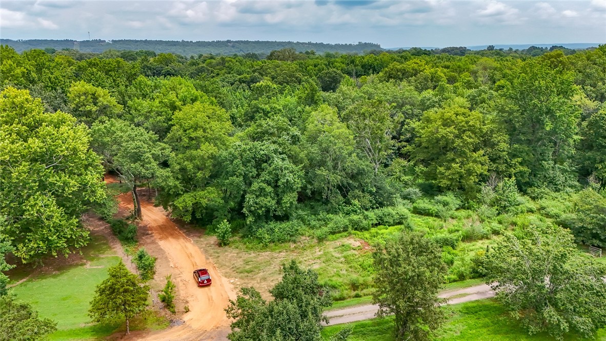 This beautiful 10.40-acre parcel in the Boyce Manor subdivision offers the perfect combination of convenience and seclusion. Located just one mile from Dardanelle on Highway 27, this property is near Mt. Nebo, providing stunning views and a peaceful, country atmosphere with easy access to town.
The land is ready for your dream home, with a completed perc test, new survey, and gravel driveways already in place. With plenty of room to spread out, youāll enjoy ultimate privacy while still being close to everything you need. Properties like this donāt last longādon't miss your chance to own this unique slice of Arkansas!