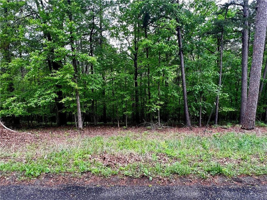Beaver Lake area lot in the Beaver Shores Subdivision. Very Secluded with a few houses on the street. Prairie Creek Marina and 3 other boat launch ramps located just right around the corner. Minutes to Downtown Rogers. Water and electric at street. Lot has been surveyed and marked. Look for sign and survey stakes with pink tape at the front of the lot.