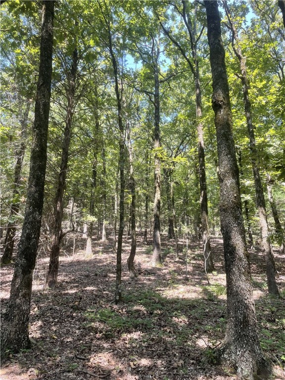 Six beautiful acres just 8 minutes from town. Perfect for your new house, or subdivide for a great return on your investment! Great views from the top of the hill! Hardwoods; pines; wildlife! House with additional 10 acres for sale. Make your appointment to see this place today!