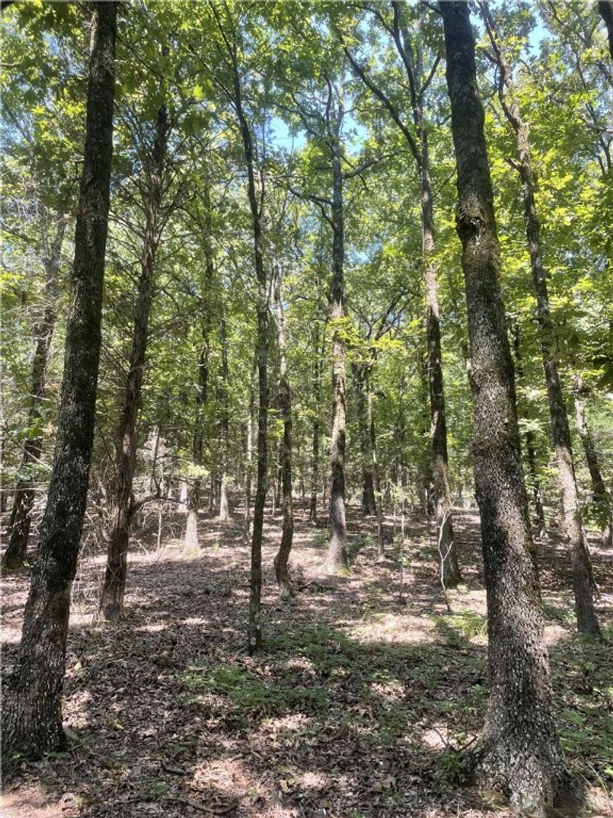 Six beautiful acres just 8 minutes from town. Perfect for your new house, or subdivide for a great return on your investment! Great views from the top of the hill! Hardwoods; pines; wildlife! House with additional 10 acres for sale. Make your appointment to see this place today!