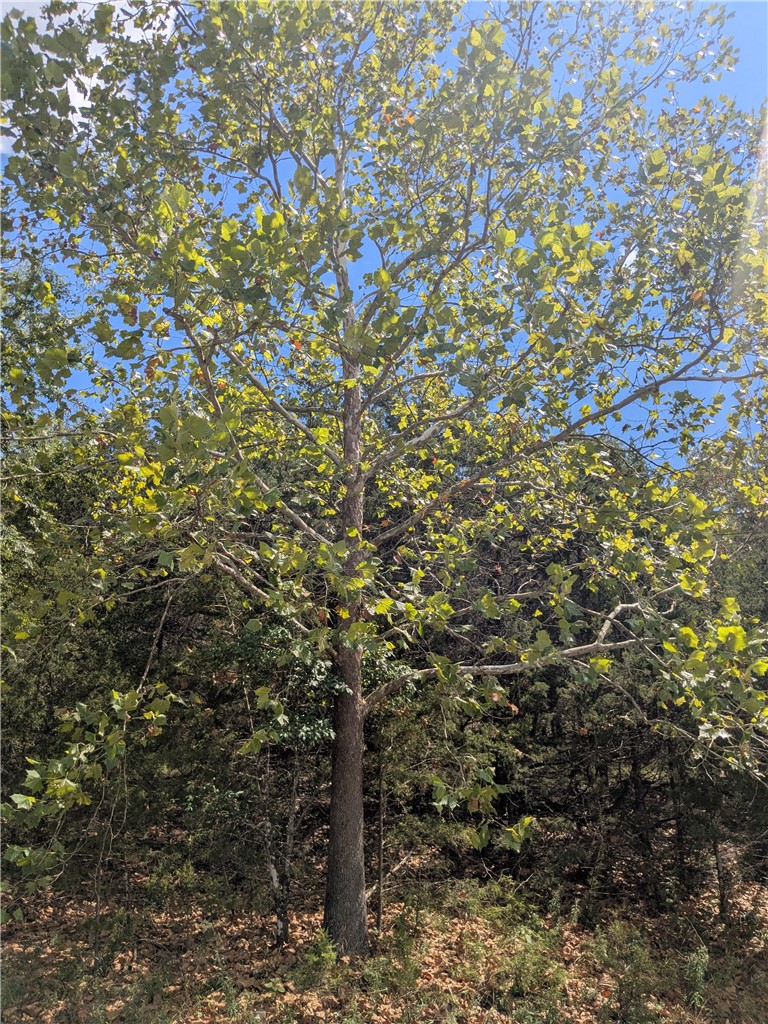 Unit 117 Holiday Island - Land