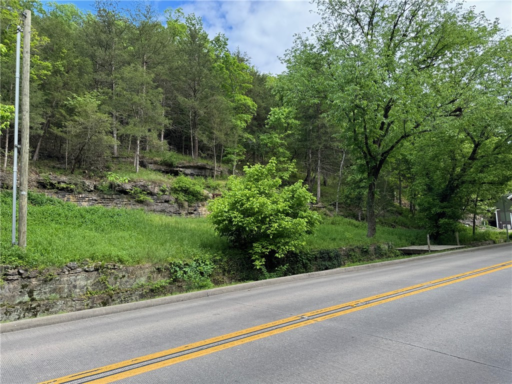 The possibilities for this Historic District property are varied. Leatherwood Creek runs along the road frontage, water and sewer hookups are ready to go and an electrical panel box/meter is in place.
The Seller has city approved plans for a house and permit for a drive way entering the property from a city easement on the south end of the lot. The upper part of the lot could possibly be accessed through Jackson St.