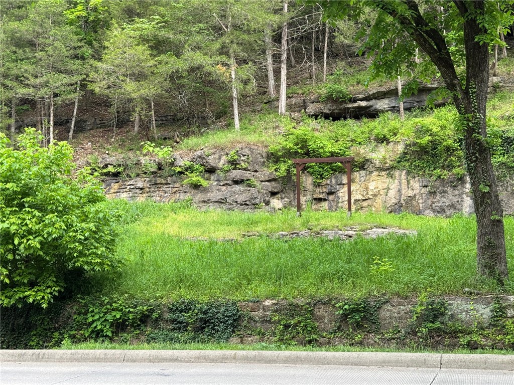 The possibilities for this property are great for whatever your vision is for a special home or business in the Historic District of Eureka Springs. Leatherwood Creek runs between the road and these two lots with a bridge connecting the two. There are utility hook-ups on the adjacent city lot the the south so you're ready to start building your dream.
