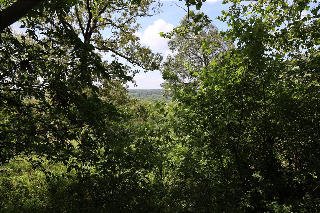Benton County 1 - Residential