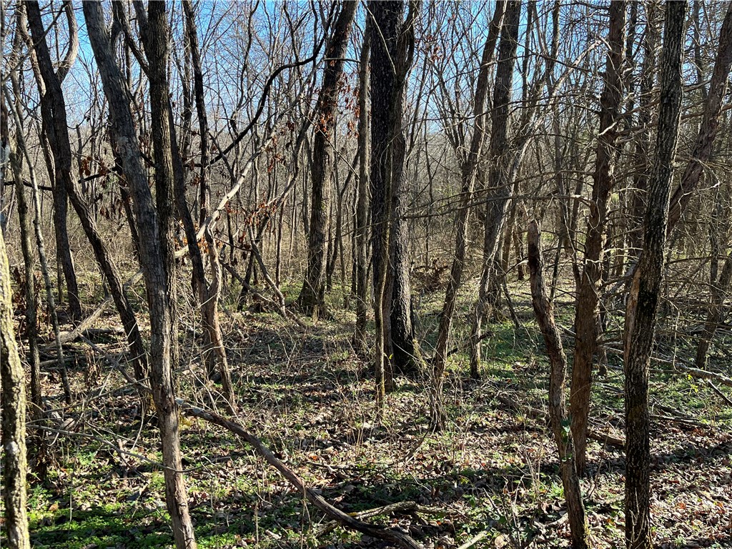 Oniell Sub Bvv - Land