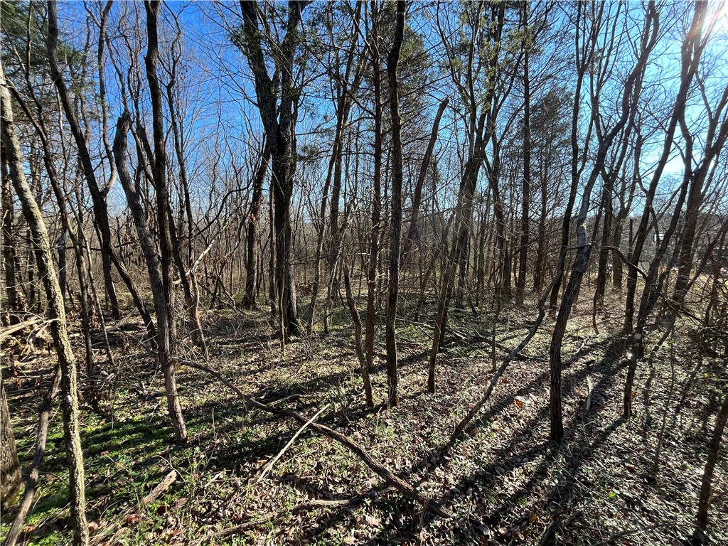 Oniell Sub Bvv - Land