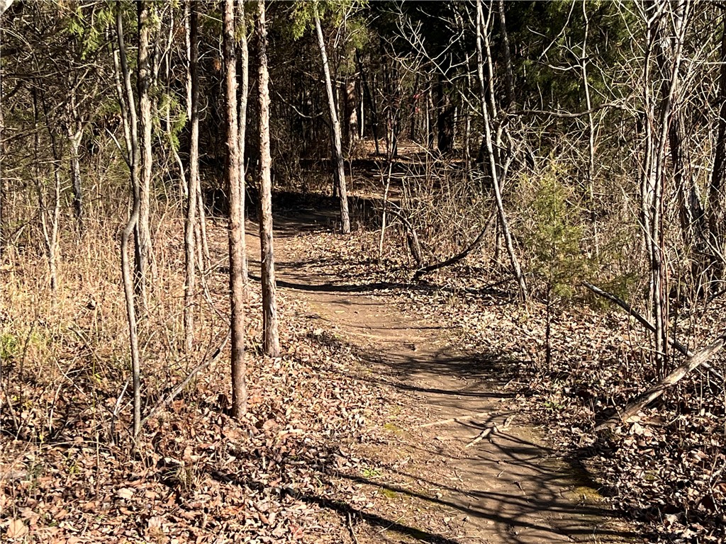 Oniell Sub Bvv - Land