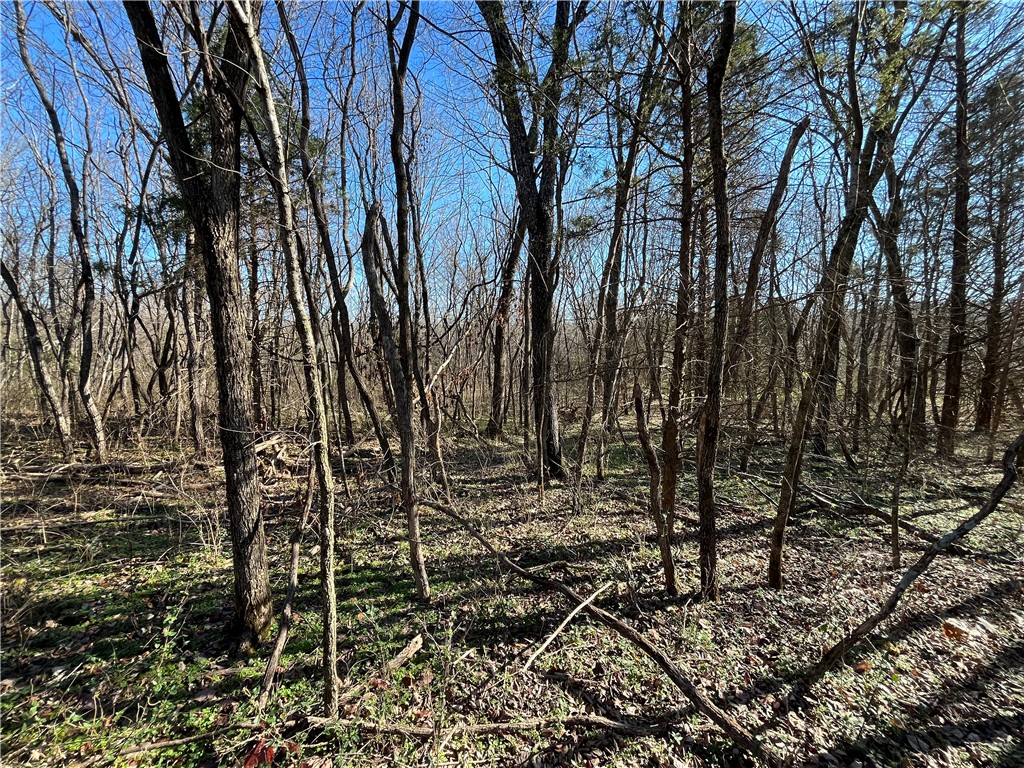 Oniell Sub Bvv - Land