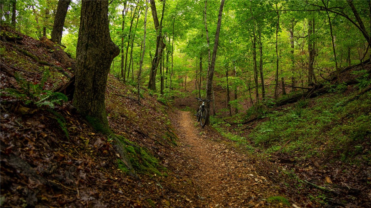 Ashdown Sub Bvv - Land