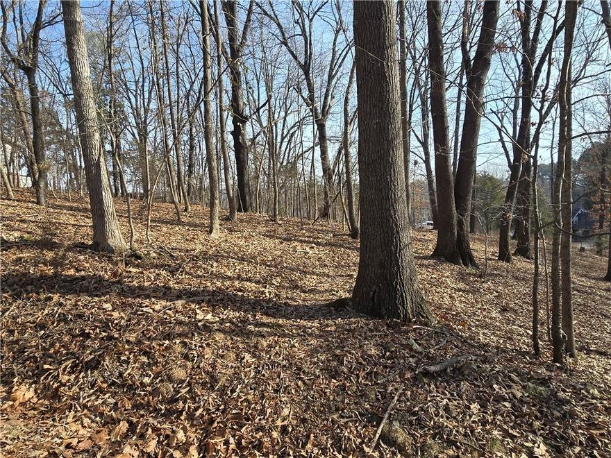 +/- .44 Acres wooded lot close to Beaver Lake in War Eagle Bend Subdivision. Sloping lot, great place to build your dream home. Street address to be​​‌​​​​‌​‌​​​‌‌​​​‌‌‌​​‌​​‌‌​​​​ determined.