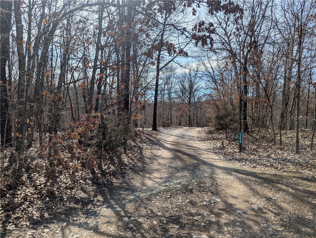 an incredible 40 acre tract with a great spot to build an amazing home with a great view. a well and septic is needed. carroll electricwill run the electric over from the neighbors property for a fee. There is a deeded easement for the property filed with the county. Seller understands there are a few challenges with the property needing all the utilities and has priced it accordingly. One of the nicest pieces of properties you will find around the area. At under $10k an acre it would be an amazing investment. If you are looking for some acreage but don't want to pay the high nwa prices this is what you are looking for!!!!! With an abundance of wildlife including deer and turkey this has it all including lots of timber that could possibly be harvested to offset the price of the property. A beautiful spring and bluffs at the back of the property cap off this dream property. Property starts at the t-post on the left.