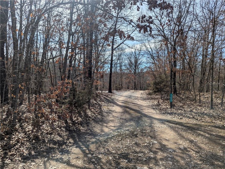 Prime 40-Acre Hunting Paradise with Stunning Views!Discover an incredible 40-acre tract, perfect for building your dream home with breathtaking views. This property is a hunter's paradise, teeming with abundant deer and turkey. The rich timber on the land can be harvested to offset the purchase price, making it an exceptional investment opportunity.The property features a beautiful spring and stunning bluffs at the back. The land begins at the t-post on the left and comes with a deeded easement filed with the county.While a well and septic system are needed, Carroll Electric Company can extend electricity from the neighboring property for a fee, depending on build location. The seller acknowledges the challenges of the utilities and has priced the property accordingly. Priced at under $9k per acre, this is one of the finest pieces of land in the area. If you're seeking acreage without the high NWA prices, this is the ideal choice! Don't miss out on this unique opportunity to own a piece of hunting heaven!