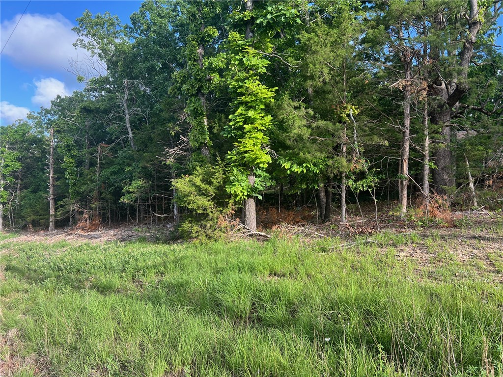 Diamond Point - Land