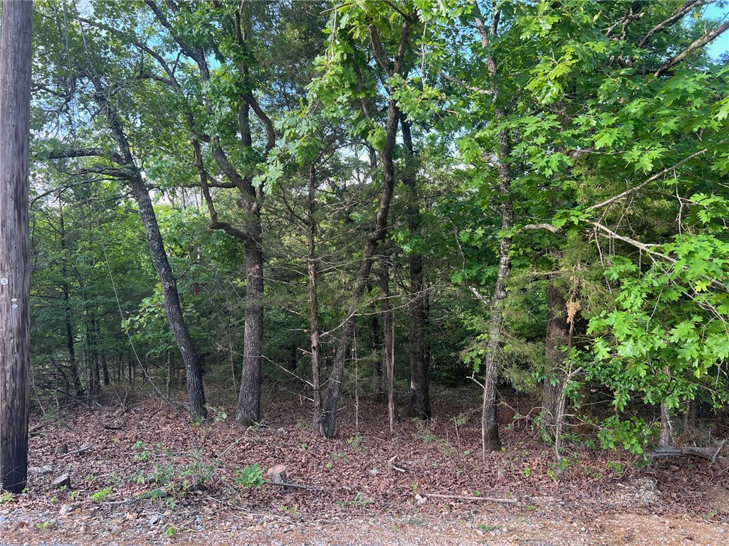 Diamond Point - Land