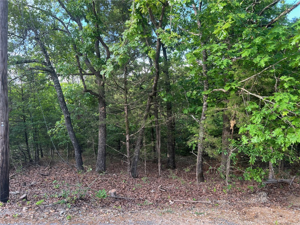 Diamond Point - Land