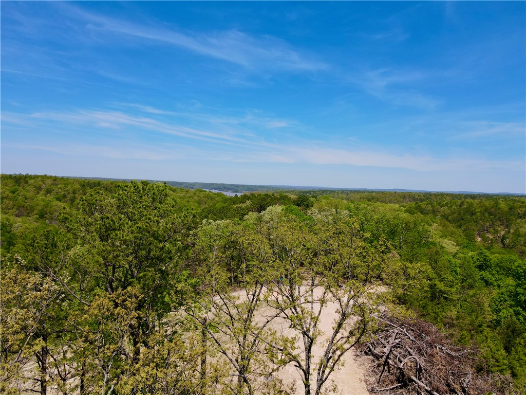 5± surveyed acres (with more acreage available) of unrestricted land nestled in the heart of the Ozarks. Whether you're planning a peaceful full-time residence or envisioning a cabin rental development, this property is ready for your plans to take shape. With a cleared build site, community water well, and septic permit and design in place, much of the groundwork has already been done. The land offers stunning mountain views, a peaceful natural setting, and total flexibility, giving you the freedom to build what you want, when you want. A recorded electric easement ensures straightforward access to power, and the gentle topography makes for easy building and site development. 28± minutes to downtown Rogers, AR, and a short 6-mile drive to Hobbs State Park for hiking, biking, and outdoor recreation. Whether you're looking to build your forever home, develop short-term rentals, or simply invest in prime land in
Northwest Arkansas, this property offers the location, views, and infrastructure to make it happen.