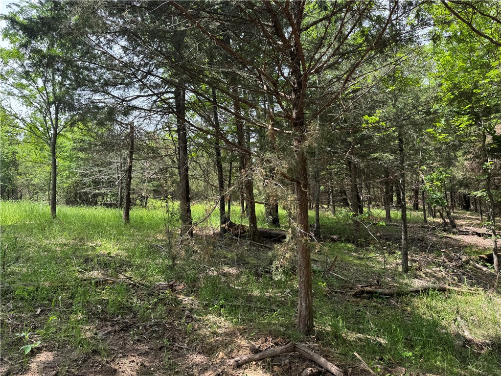 Escape to the peace and quiet of nature with this beautiful wooded property—perfect for your dream
home or a private hunting cabin. Nestled in a serene setting surrounded by mature trees and wildlife, this land offers the ideal backdrop for a weekend getaway, hunting retreat, or full-time country living. With plenty of space to roam, you’ll enjoy privacy, natural beauty, and endless possibilities to create your own retreat in the woods. Whether you’re looking to build a custom home, set up a hunting lodge, or simply enjoy the great outdoors, this property provides the perfect canvas