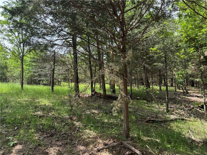 Escape to the peace and quiet of nature with this beautiful wooded property—perfect for your dream
home or a private hunting cabin. Nestled in a serene setting surrounded by mature trees and wildlife, this land offers the ideal backdrop for a weekend getaway, hunting retreat, or full-time country living. With plenty of space to roam, you’ll enjoy privacy, natural beauty, and endless possibilities to create your own retreat in the woods. Whether you’re looking to build a custom home, set up a hunting lodge, or simply enjoy the great outdoors, this property provides the perfect canvas
