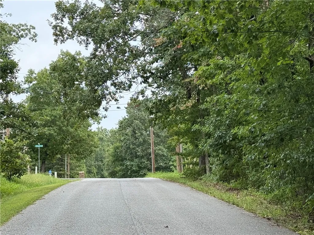 Bella Vista, Arkansas 72715, United States, ,Land,Active,194286