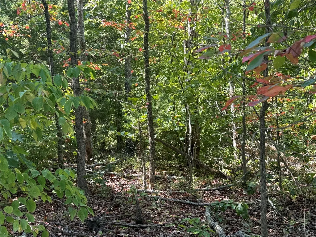 Bella Vista, Arkansas 72715, United States, ,Land,Active,194286