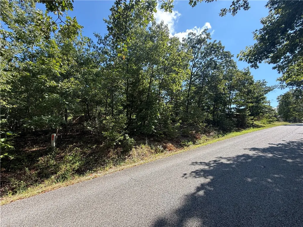 Bella Vista, Arkansas 72715, United States, ,Land,Active,194286